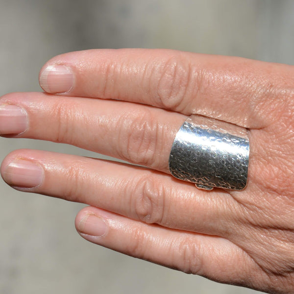 Himbeer-Schoko-Kuchen Ring Kuchengabel Abgesägt Rauh Finger